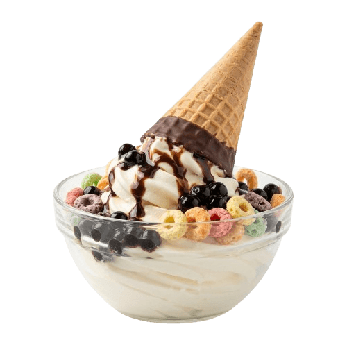 Family Ice Cream